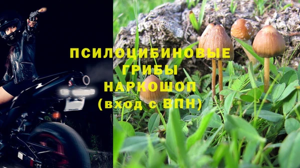 ГАЛЛЮЦИНОГЕННЫЕ ГРИБЫ Домодедово