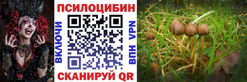 Псилоцибиновые грибы прущие грибы  купить   Батайск 