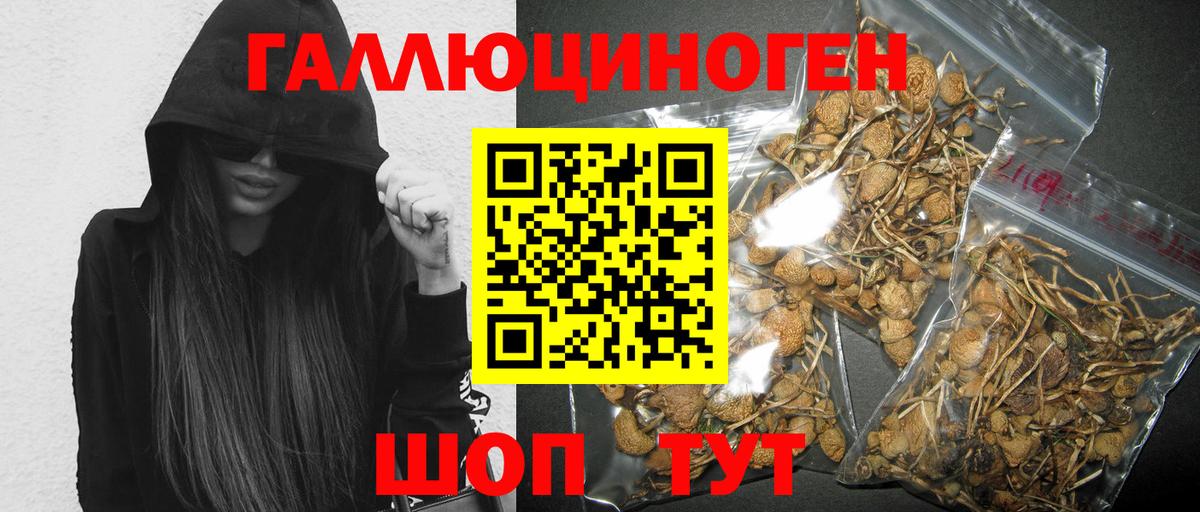 Псилоцибиновые грибы мицелий Батайск