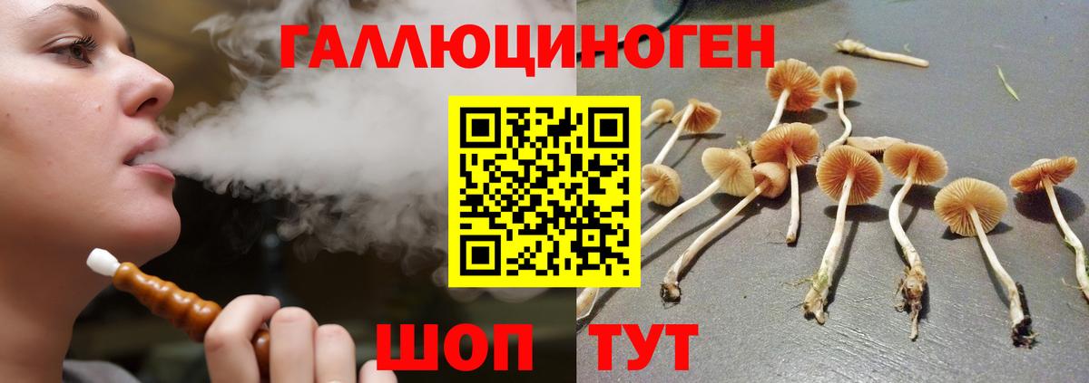 Батайск  Псилоцибиновые грибы Magic Shrooms  цены   Вход с VPN  Псилоцибиновые грибы GOLDEN TEACHER 